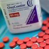 köpa oxycontin , oxycontin , köp oxycontin i sverige, oxycontin biverkningar, oxycontin 10 mg, oxycontin 80 mg, oxycontin flashback , oxycontin beroende , oxycontin sverige , oxycontin verkningstid , oxycontin 5 mg , 5 mg oxycontin , oxycontin 80 mg price , oxycontin 5 mg pris, oxycontin 80 mg pris, oxycontin dosering flashback, köpa oxycontin flashback , köpa oxycontin på nätet , köpa oxycontin flashback , köpa oxycontin utan recept , oxycontin kopen, oxycontin bijwerkingen, oxycontin nederland, oxycontin schikking, oxycontin chemical formula, oxycontin tramadol, oxycontin vs oxycodone , demerol vs oxycontin, how to inject oxycontin ,