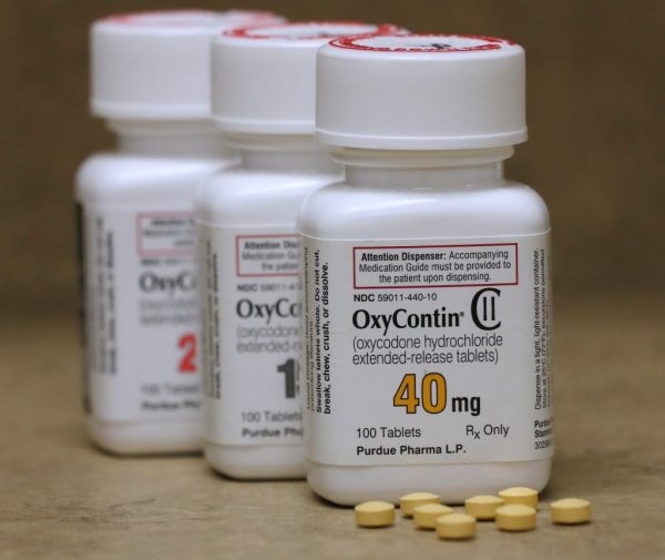 köpa oxycontin , oxycontin , köp oxycontin i sverige, oxycontin biverkningar, oxycontin 10 mg, oxycontin 80 mg, oxycontin flashback , oxycontin beroende , oxycontin sverige , oxycontin verkningstid , oxycontin 5 mg , 5 mg oxycontin , oxycontin 80 mg price , oxycontin 5 mg pris, oxycontin 80 mg pris, oxycontin dosering flashback, köpa oxycontin flashback , köpa oxycontin på nätet , köpa oxycontin flashback , köpa oxycontin utan recept , oxycontin kopen, oxycontin bijwerkingen, oxycontin nederland, oxycontin schikking, oxycontin chemical formula, oxycontin tramadol, oxycontin vs oxycodone , demerol vs oxycontin, how to inject oxycontin ,